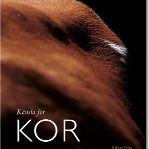 Känsla för kor av Martin Ott - en annorlunda och vacker bok om kor Känsla för kor av Martin Ott - en annorlunda och vacker bok om kor