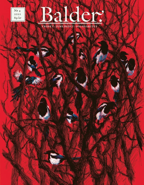 Omslagsbild Balder nummer 4 20021. Fåglar i ett träd